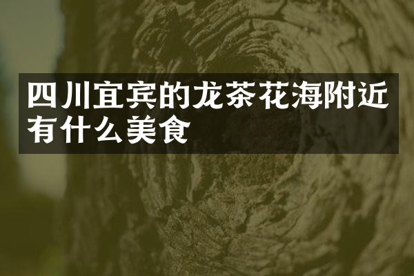 四川宜宾的龙茶花海附近有什么美食