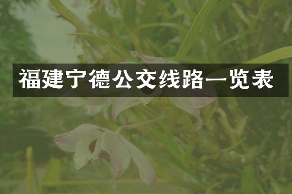 福建宁德公交线路一览表