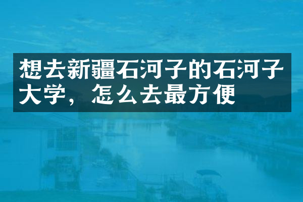 想去新疆石河子的石河子大学，怎么去最方便