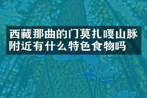西藏那曲的门莫扎嘎山脉附近有什么特色食物吗