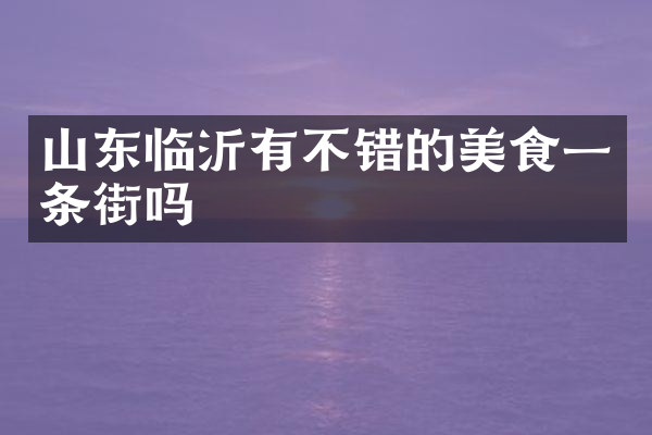 山东临沂有不错的美食一条街吗