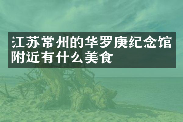 江苏常州的华罗庚纪念馆附近有什么美食
