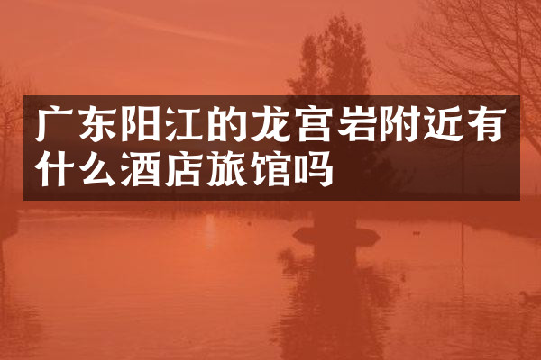 广东阳江的龙宫岩附近有什么酒店旅馆吗