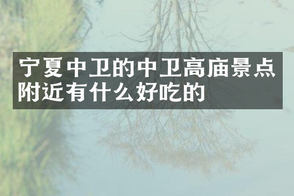 宁夏中卫的中卫高庙景点附近有什么好吃的