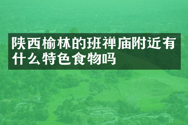 陕西榆林的班禅庙附近有什么特色食物吗