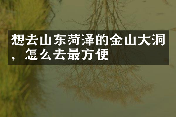 想去山东菏泽的金山大洞，怎么去最方便