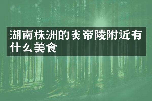 湖南株洲的炎帝陵附近有什么美食