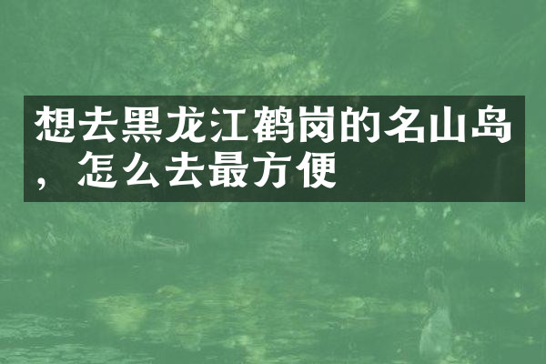 想去黑龙江鹤岗的名山岛，怎么去最方便
