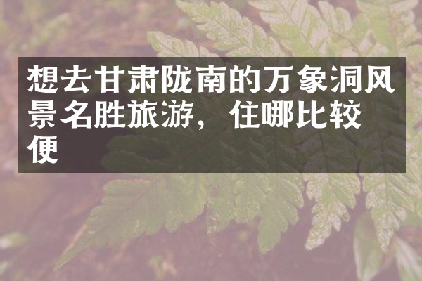 想去甘肃陇南的万象洞风景名胜旅游，住哪比较方便