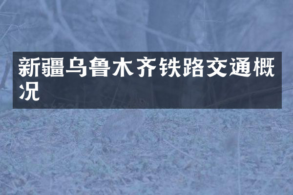 新疆乌鲁木齐铁路交通概况