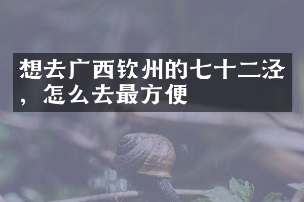 想去广西钦州的七十二泾，怎么去最方便