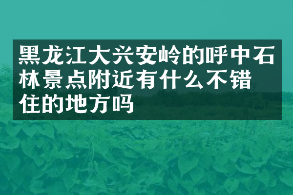 黑龙江大兴安岭的呼中石林景点附近有什么不错的住的地方吗