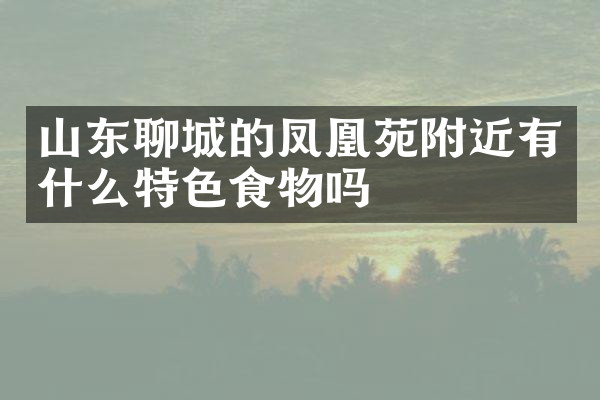 山东聊城的凤凰苑附近有什么特色食物吗