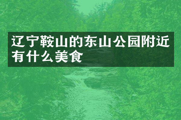 辽宁鞍山的东山公园附近有什么美食
