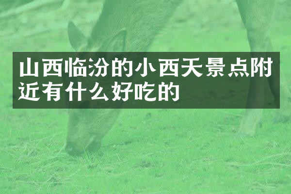 山西临汾的小西天景点附近有什么好吃的