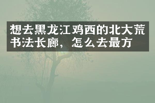 想去黑龙江鸡西的北大荒书法长廊，怎么去最方便