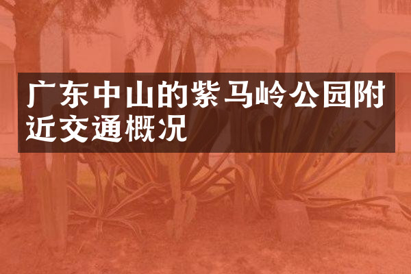 广东中山的紫马岭公园附近交通概况