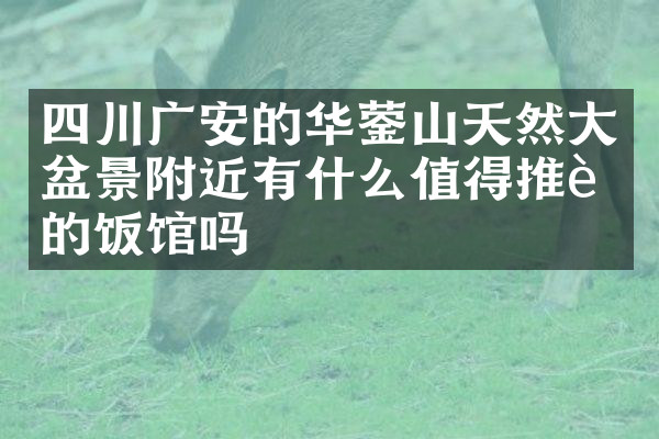 四川广安的华蓥山天然大盆景附近有什么值得推荐的饭馆吗