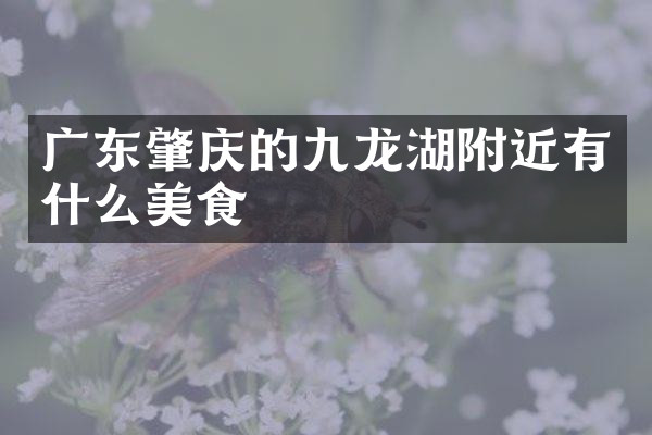 广东肇庆的九龙湖附近有什么美食