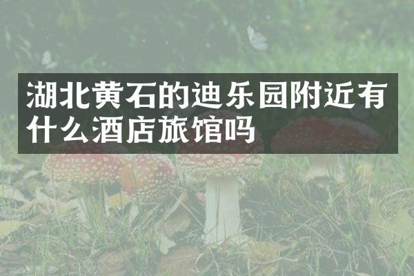 湖北黄石的迪乐园附近有什么酒店旅馆吗