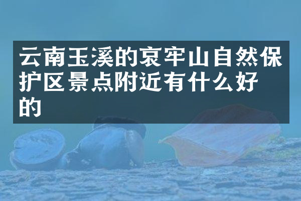 云南玉溪的哀牢山自然保护区景点附近有什么好吃的