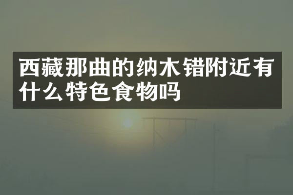 西藏那曲的纳木错附近有什么特色食物吗