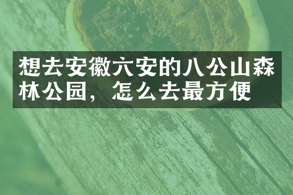 想去安徽六安的八公山森林公园，怎么去最方便