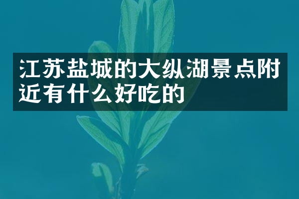 江苏盐城的大纵湖景点附近有什么好吃的