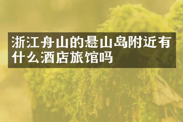 浙江舟山的悬山岛附近有什么酒店旅馆吗