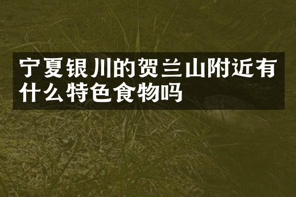 宁夏银川的贺兰山附近有什么特色食物吗