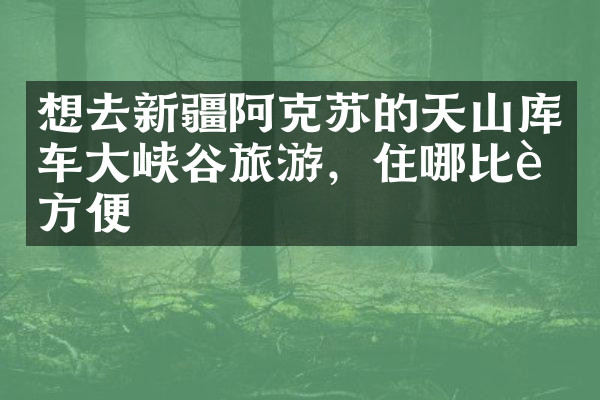 想去新疆阿克苏的天山库车大峡谷旅游，住哪比较方便