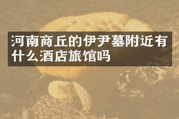 河南商丘的伊尹墓附近有什么酒店旅馆吗