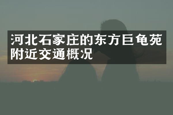 河北石家庄的东方巨龟苑附近交通概况