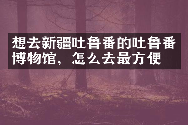 想去新疆吐鲁番的吐鲁番博物馆，怎么去最方便
