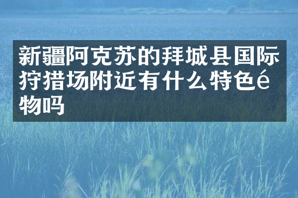 新疆阿克苏的拜城县国际狩猎场附近有什么特色食物吗
