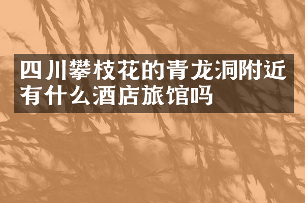 四川攀枝花的青龙洞附近有什么酒店旅馆吗