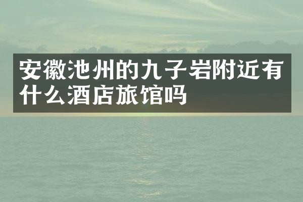 安徽池州的九子岩附近有什么酒店旅馆吗