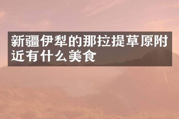 新疆伊犁的那拉提草原附近有什么美食
