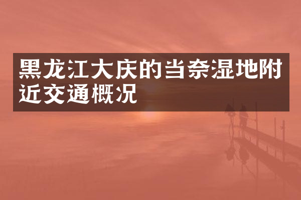 黑龙江大庆的当奈湿地附近交通概况