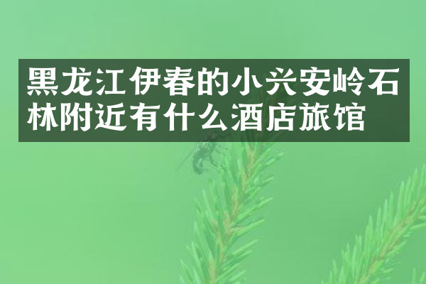 黑龙江伊春的小兴安岭石林附近有什么酒店旅馆吗