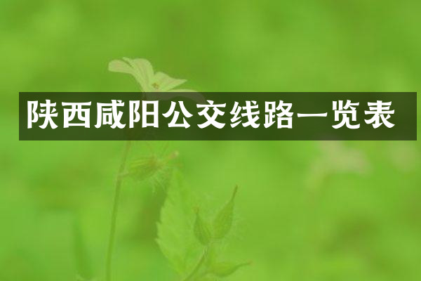 陕西咸阳公交线路一览表