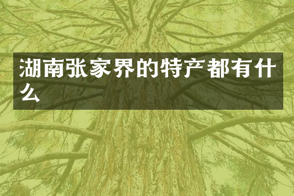 湖南张家界的特产都有什么