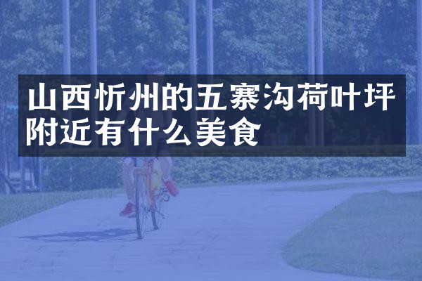 山西忻州的五寨沟荷叶坪附近有什么美食
