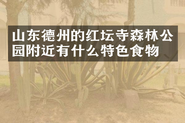 山东德州的红坛寺森林公园附近有什么特色食物吗