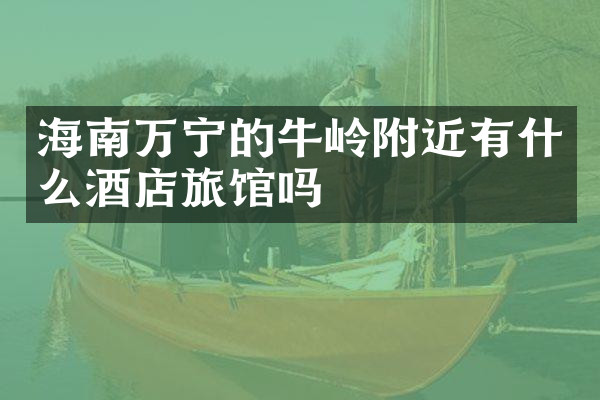 海南万宁的牛岭附近有什么酒店旅馆吗