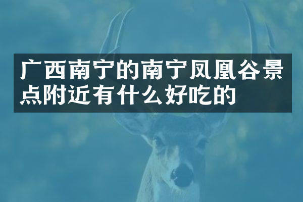 广西南宁的南宁凤凰谷景点附近有什么好吃的