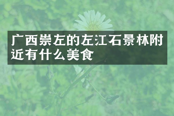 广西崇左的左江石景林附近有什么美食