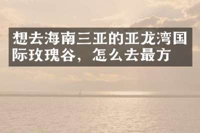 想去海南三亚的亚龙湾国际玫瑰谷，怎么去最方便