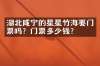 湖北咸宁的星星竹海要门票吗？门票多少钱？