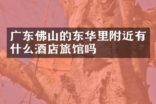 广东佛山的东华里附近有什么酒店旅馆吗